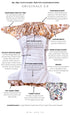 SECOND HAND | Mimi & Co ORIGINALS 2.0 - All in Two | Pocket Nappy